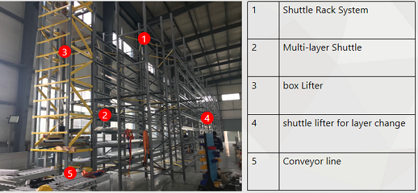 Multi layer shuttle system